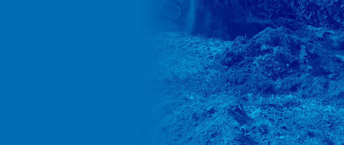 excavation